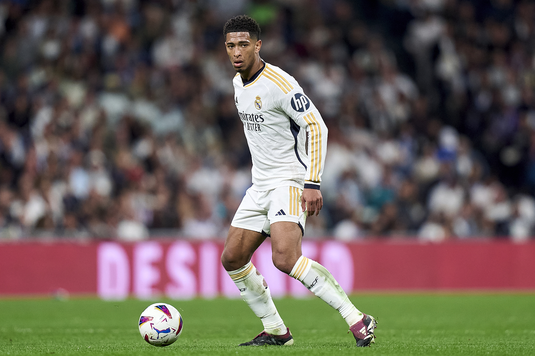 这证明了欧 这证明了欧