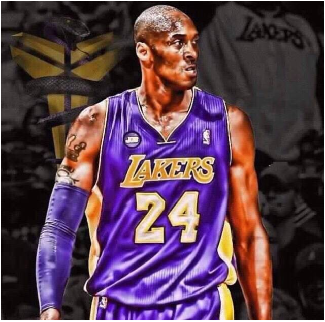 疑更具观赏 疑更具观赏